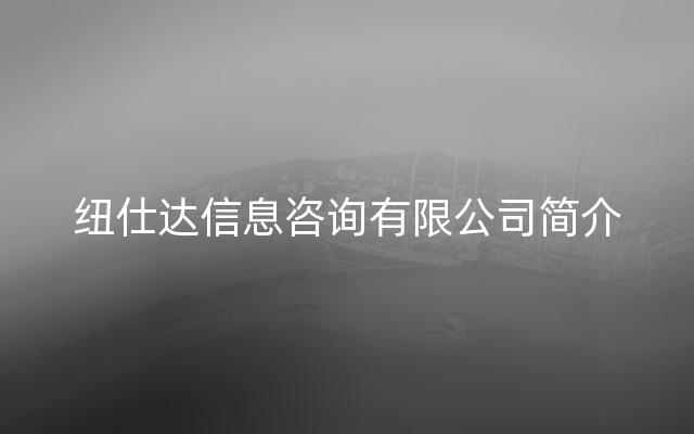 纽仕达信息咨询有限公司简介