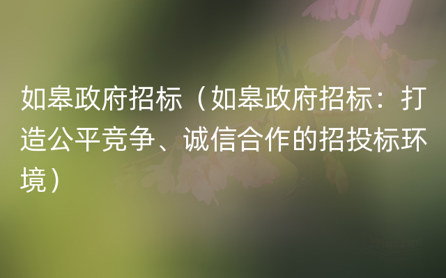 如皋政府招标（如皋政府招标：打造公平竞争、诚信合作的招投标环境）