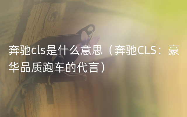 奔驰cls是什么意思（奔驰CLS：豪华品质跑车的代言）