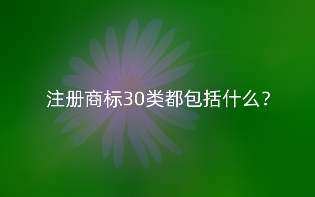 注册商标30类都包括什么？