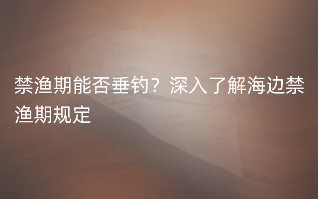 禁渔期能否垂钓？深入了解海边禁渔期规定