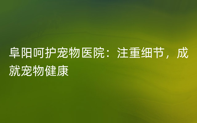 阜阳呵护宠物医院：注重细节，成就宠物健康