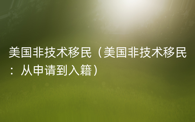 美国非技术移民（美国非技术移民：从申请到入籍）