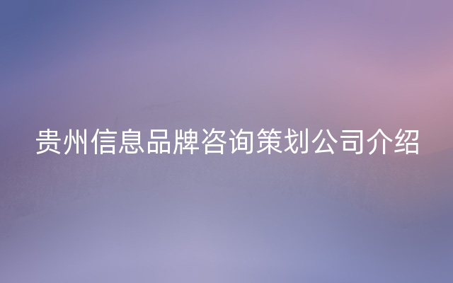 贵州信息品牌咨询策划公司介绍