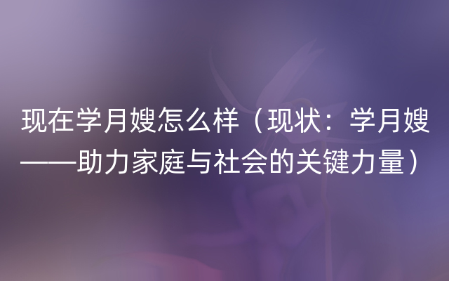 现在学月嫂怎么样（现状：学月嫂——助力家庭与社会的关键力量）