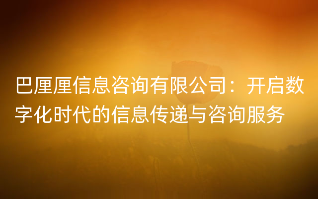 巴厘厘信息咨询有限公司：开启数字化时代的信息传递与咨询服务