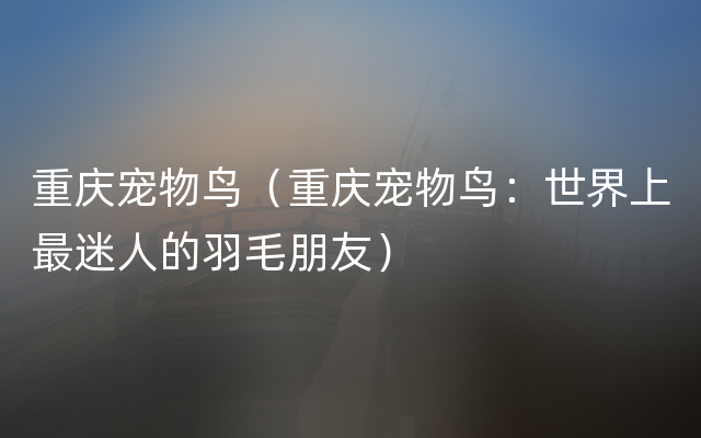 重庆宠物鸟（重庆宠物鸟：世界上最迷人的羽毛朋友）