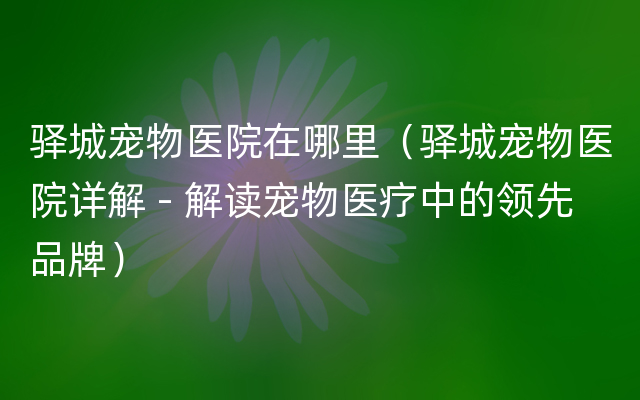 驿城宠物医院在哪里（驿城宠物医院详解 - 解读宠物医疗中的领先品牌）