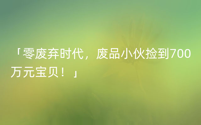 「零废弃时代，废品小伙捡到700万元宝贝！」