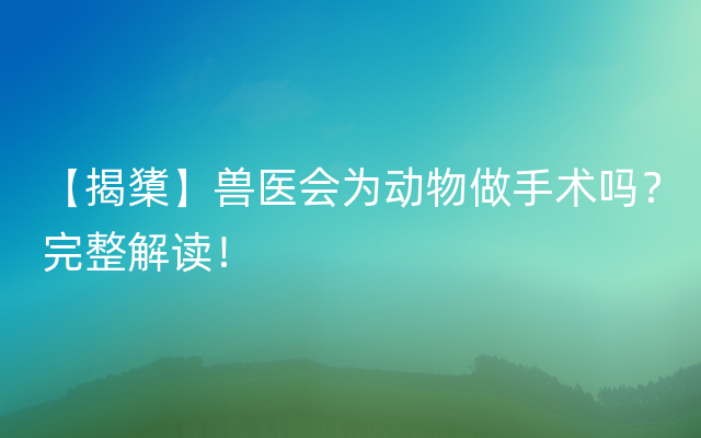 【揭橥】兽医会为动物做手术吗？完整解读！