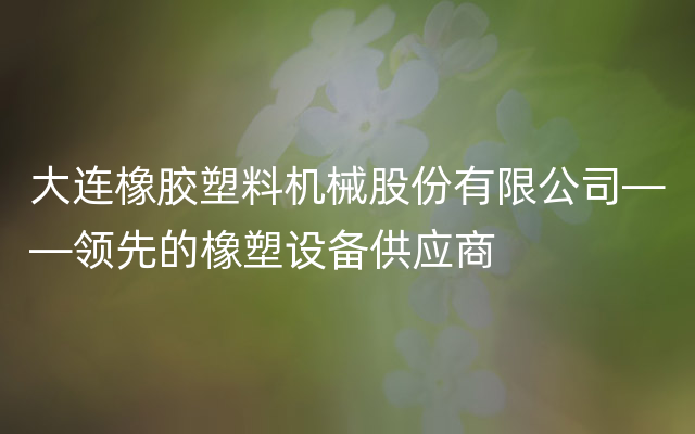 大连橡胶塑料机械股份有限公司——领先的橡塑设备供应商