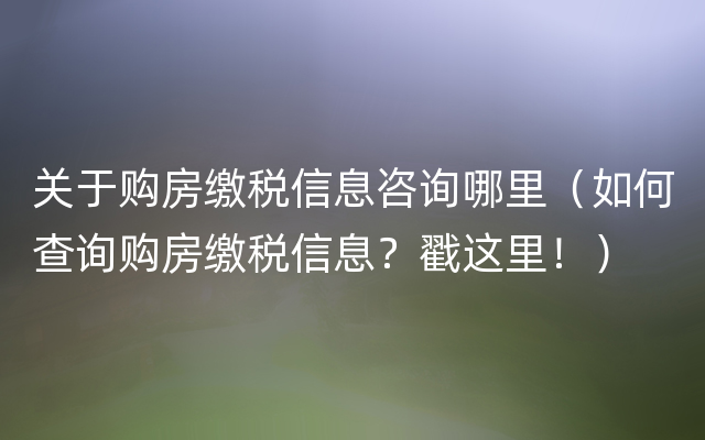 关于购房缴税信息咨询哪里（如何查询购房缴税信息？戳这里！）