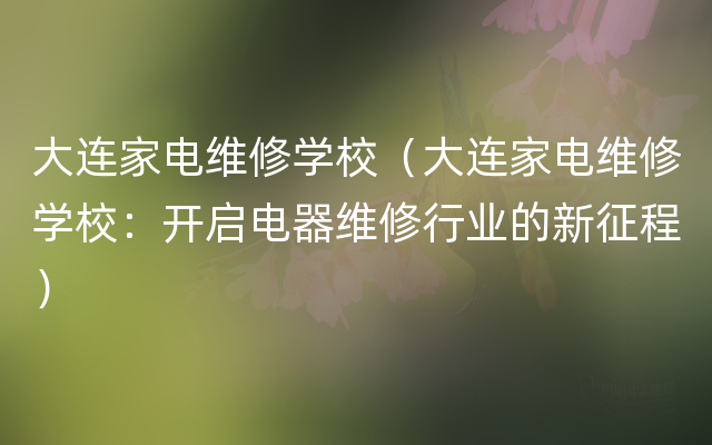 大连家电维修学校（大连家电维修学校：开启电器维修行业的新征程）