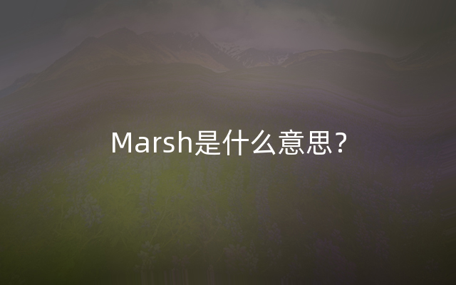 Marsh是什么意思？