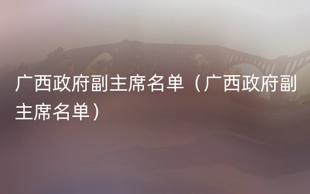 广西政府副主席名单（广西政府副主席名单）