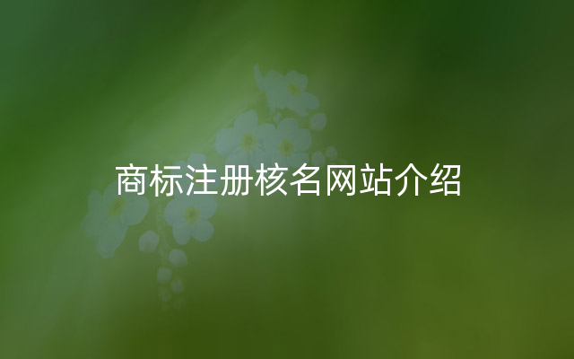 商标注册核名网站介绍