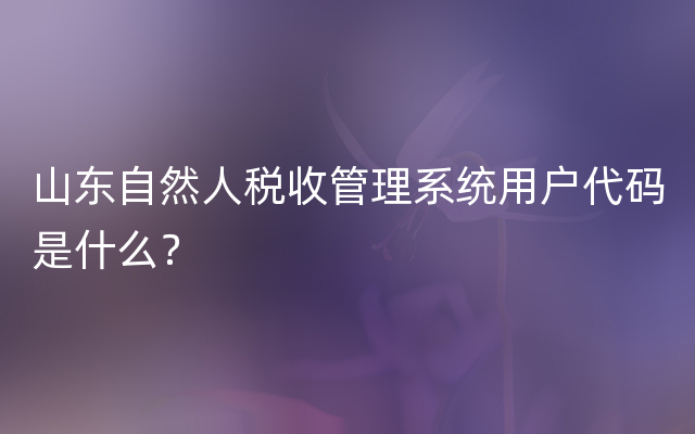 山东自然人税收管理系统用户代码是什么？