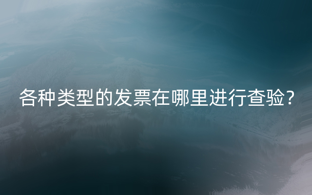 各种类型的发票在哪里进行查验？