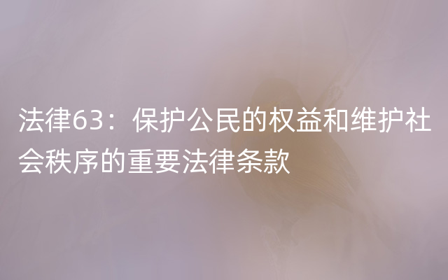 法律63：保护公民的权益和维护社会秩序的重要法律条款