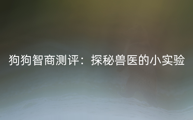 狗狗智商测评：探秘兽医的小实验