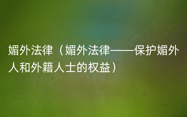 媚外法律（媚外法律——保护媚外人和外籍人士的权益）