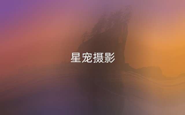 星宠摄影