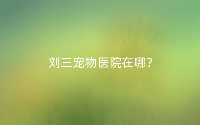 刘三宠物医院在哪？