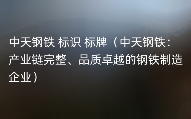 中天钢铁 标识 标牌（中天钢铁：产业链完整、品质