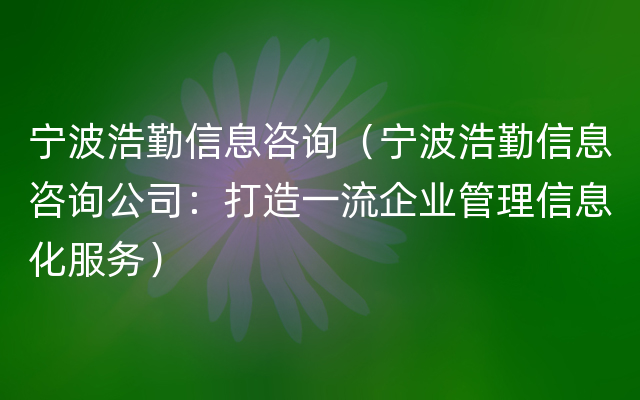 宁波浩勤信息咨询（宁波浩勤信息咨询公司：打造一流企业管理信息化服务）