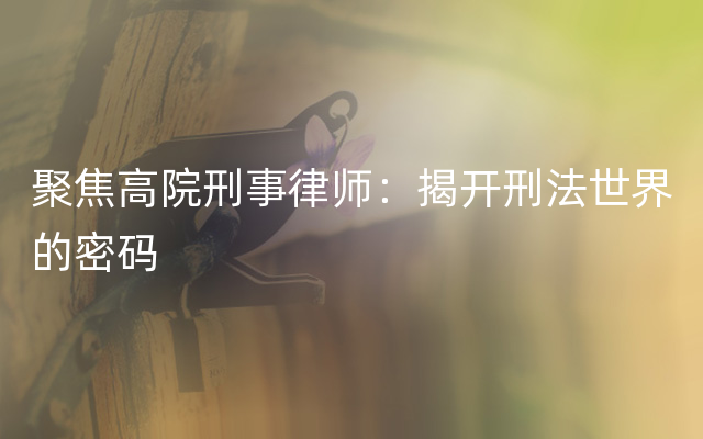 聚焦高院刑事律师：揭开刑法世界的密码