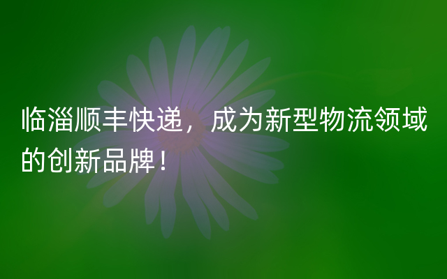 临淄顺丰快递，成为新型物流领域的创新品牌！