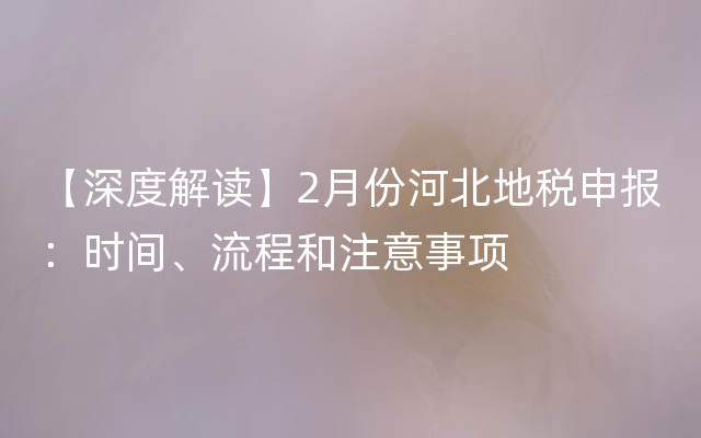 【深度解读】2月份河北地税申报：时间、流程和注意事项