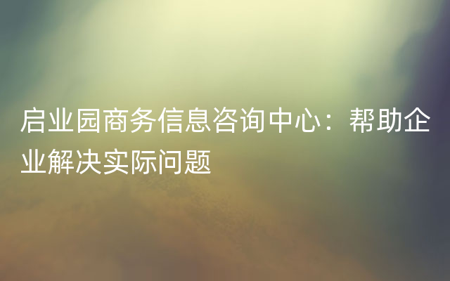 启业园商务信息咨询中心：帮助企业解决实际问题