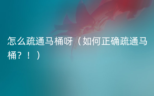 怎么疏通马桶呀（如何正确疏通马桶？！）