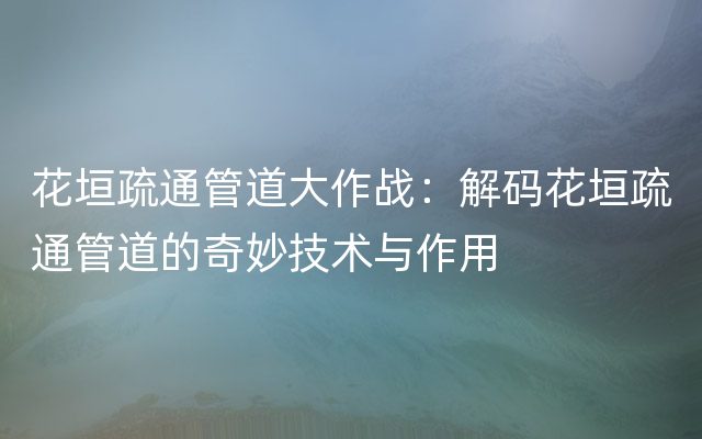 花垣疏通管道大作战：解码花垣疏通管道的奇妙技术与作用