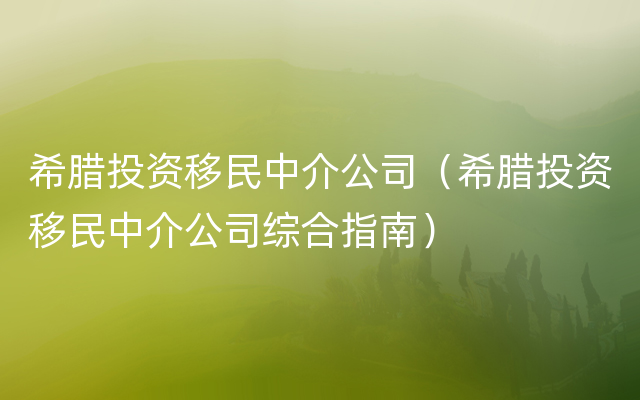 希腊投资移民中介公司（希腊投资移民中介公司综合指南）