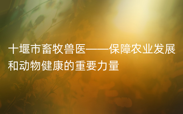 十堰市畜牧兽医——保障农业发展和动物健康的重要力量