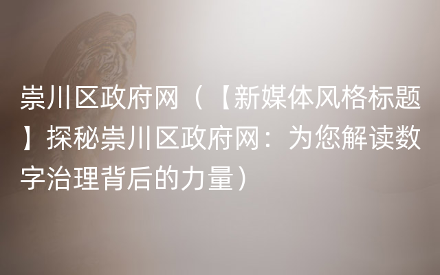 崇川区政府网（【新媒体风格标题】探秘崇川区政府网：为您解读数字治理背后的力量）