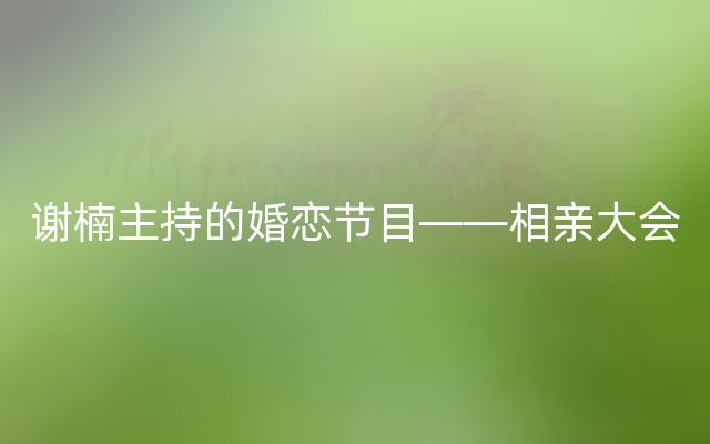 谢楠主持的婚恋节目——相亲大会