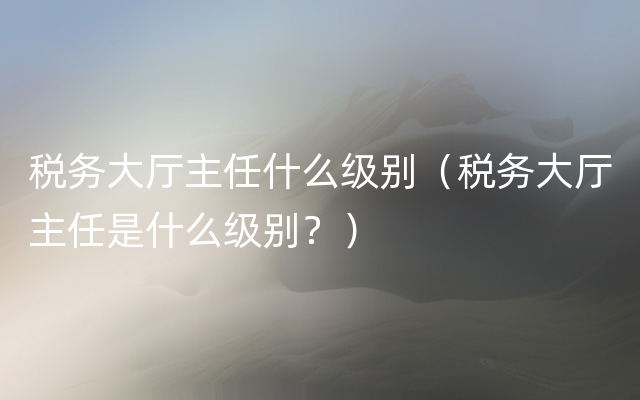 税务大厅主任什么级别（税务大厅主任是什么级别？）