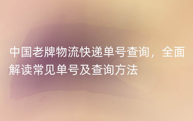 中国老牌物流快递单号查询，全面解读常见单号及查询方法