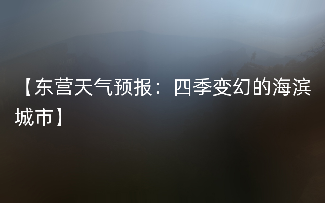 【东营天气预报：四季变幻的海滨城市】