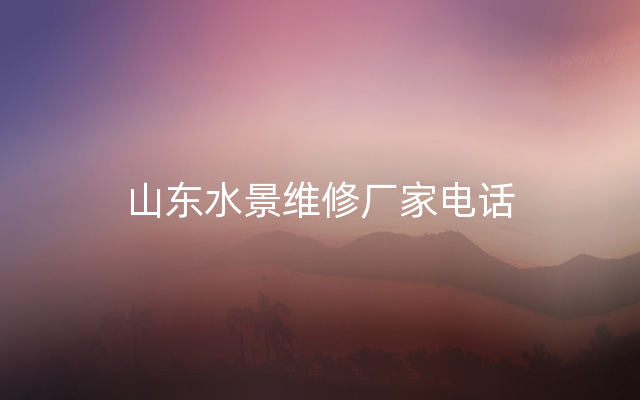 山东水景维修厂家电话