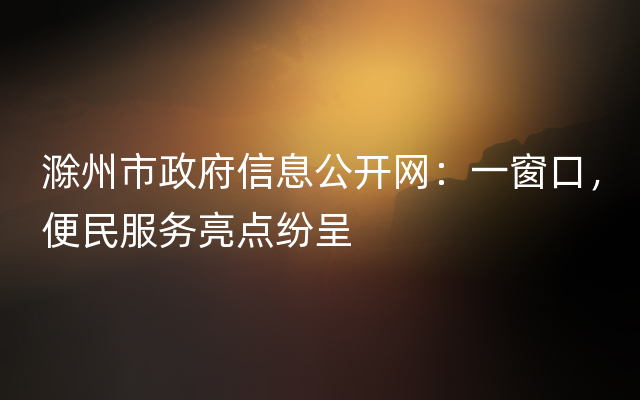 滁州市政府信息公开网：一窗口，便民服务亮点纷呈