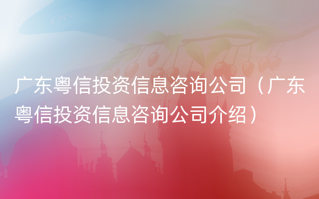 广东粤信投资信息咨询公司（广东粤信投资信息咨询公司介绍）