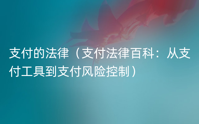 支付的法律（支付法律百科：从支付工具到支付风险控制）