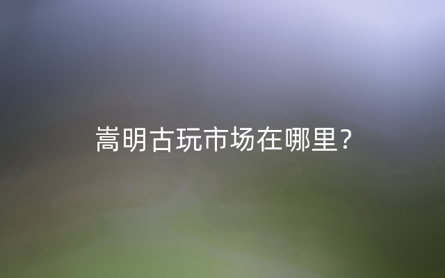 嵩明古玩市场在哪里？