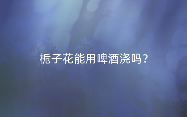 栀子花能用啤酒浇吗？