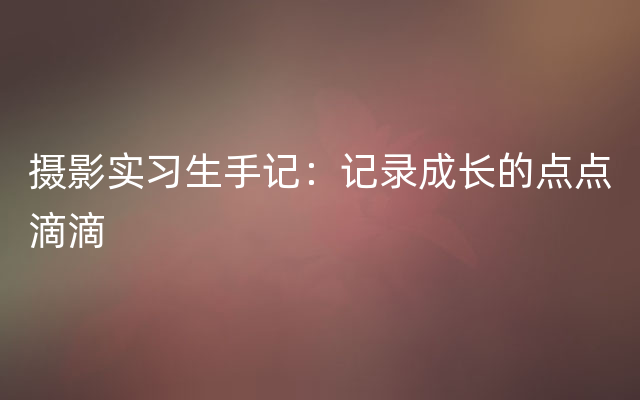 摄影实习生手记：记录成长的点点滴滴