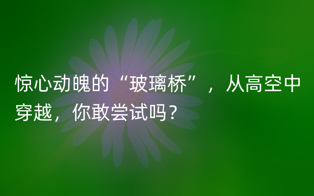 惊心动魄的“玻璃桥”，从高空中穿越，你敢尝试吗？